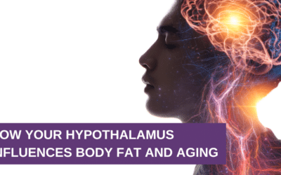 How Your Hypothalamus Influences Body Fat and Aging
