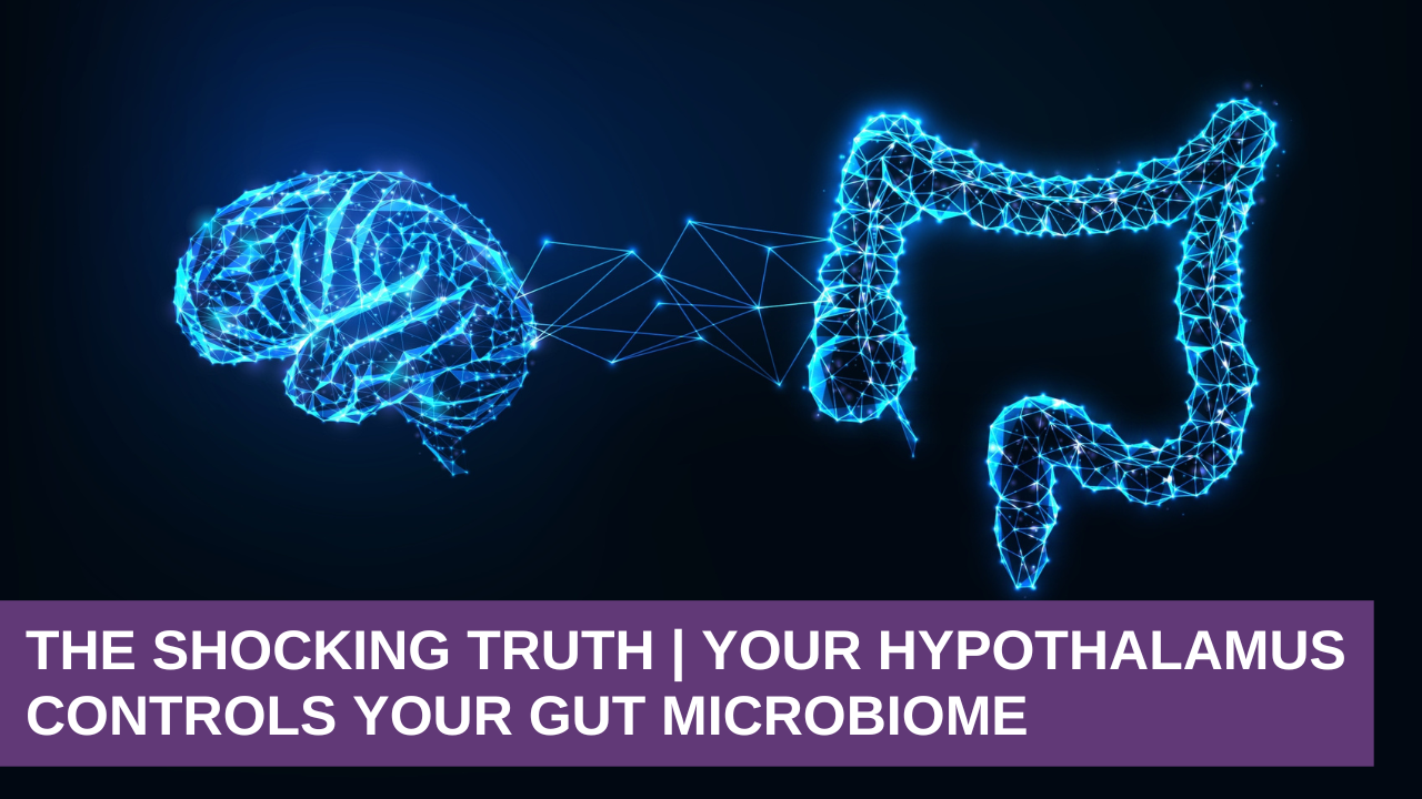 The Shocking Truth | Your Hypothalamus Controls Your Gut Microbiome