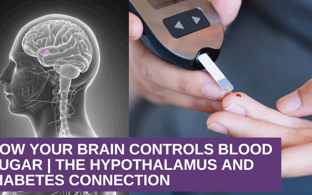 How Your Brain Controls Blood Sugar | The Hypothalamus and Diabetes Connection