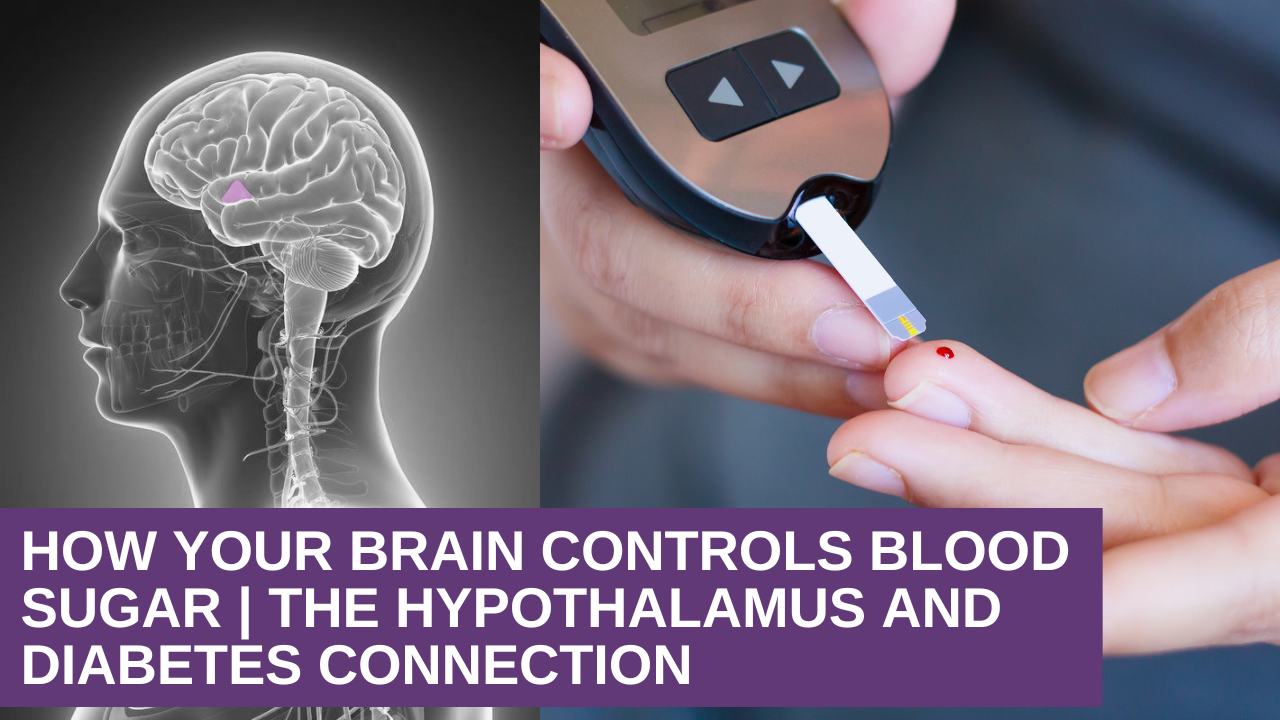 How Your Brain Controls Blood Sugar | The Hypothalamus and Diabetes Connection