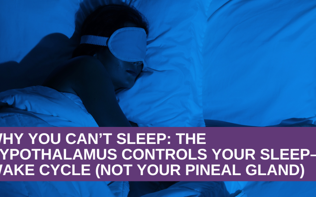 Why You Can’t Sleep: The Hypothalamus Controls Your Sleep–Wake Cycle (Not Your Pineal Gland)