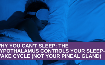 Why You Can’t Sleep: The Hypothalamus Controls Your Sleep–Wake Cycle (Not Your Pineal Gland)