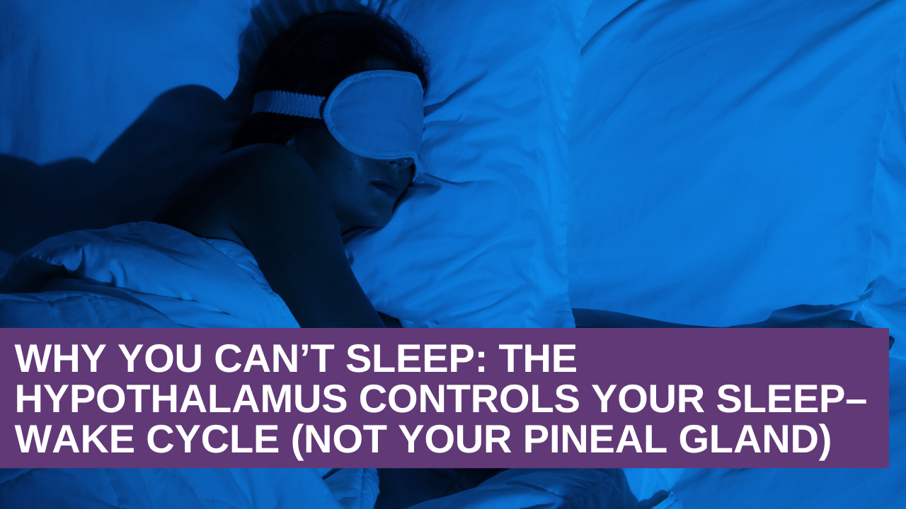 Why You Can’t Sleep: The Hypothalamus Controls Your Sleep–Wake Cycle (Not Your Pineal Gland)