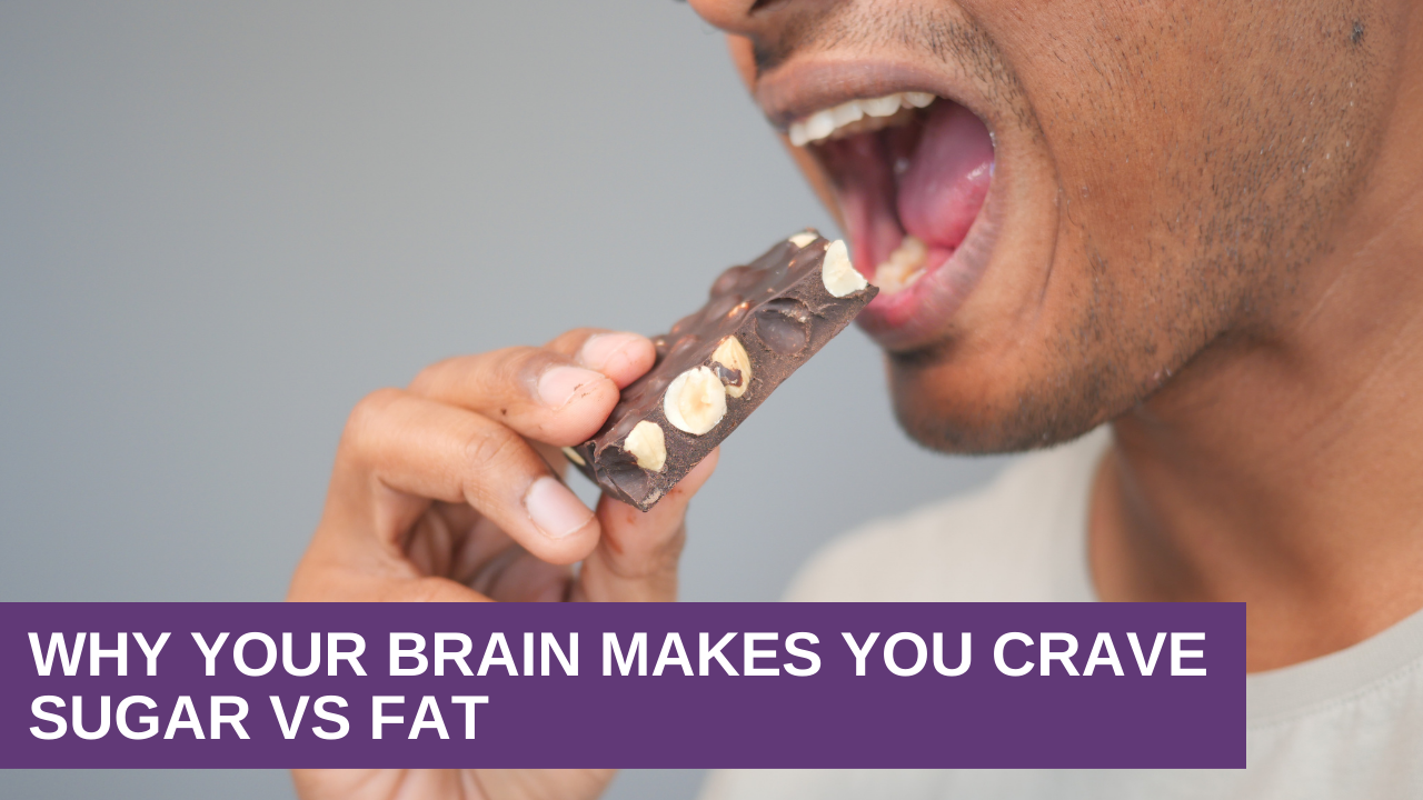 Why Your Brain Makes You Crave Sugar vs Fat
