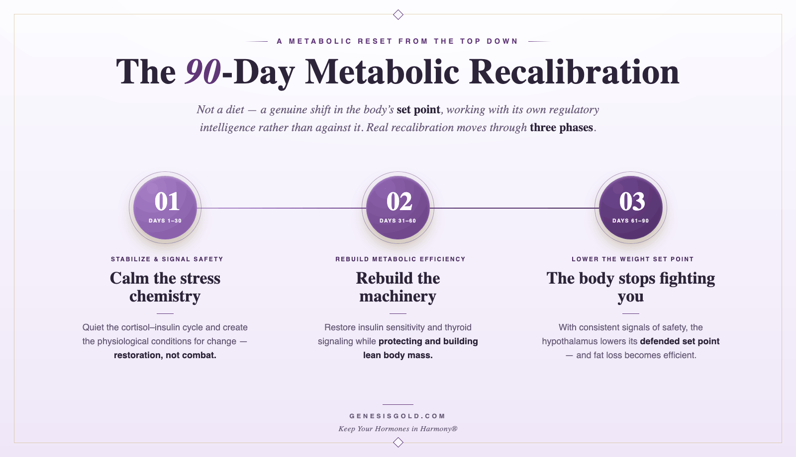 90 Day Metabolic Recalibration Horizontal1