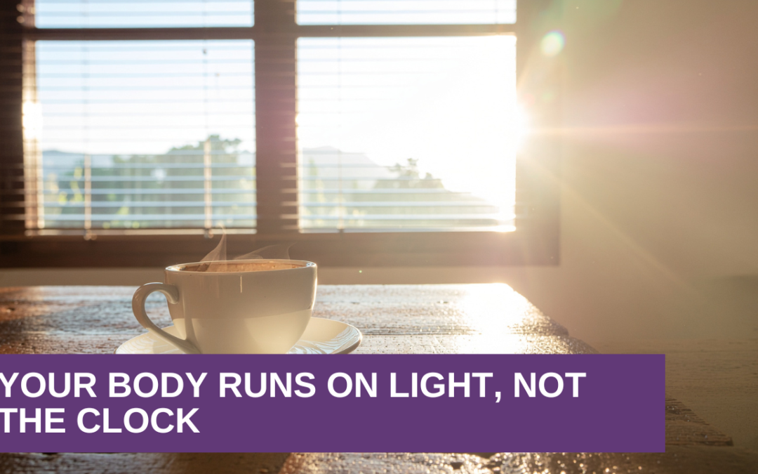 Your Body Runs on Light, Not the Clock